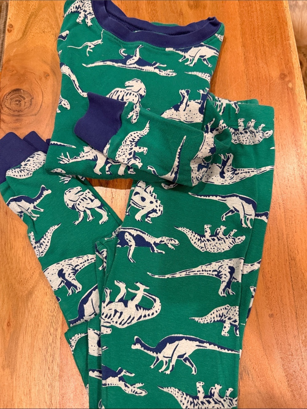 NWOT Carter's Dinosaur Matching Pajama Set